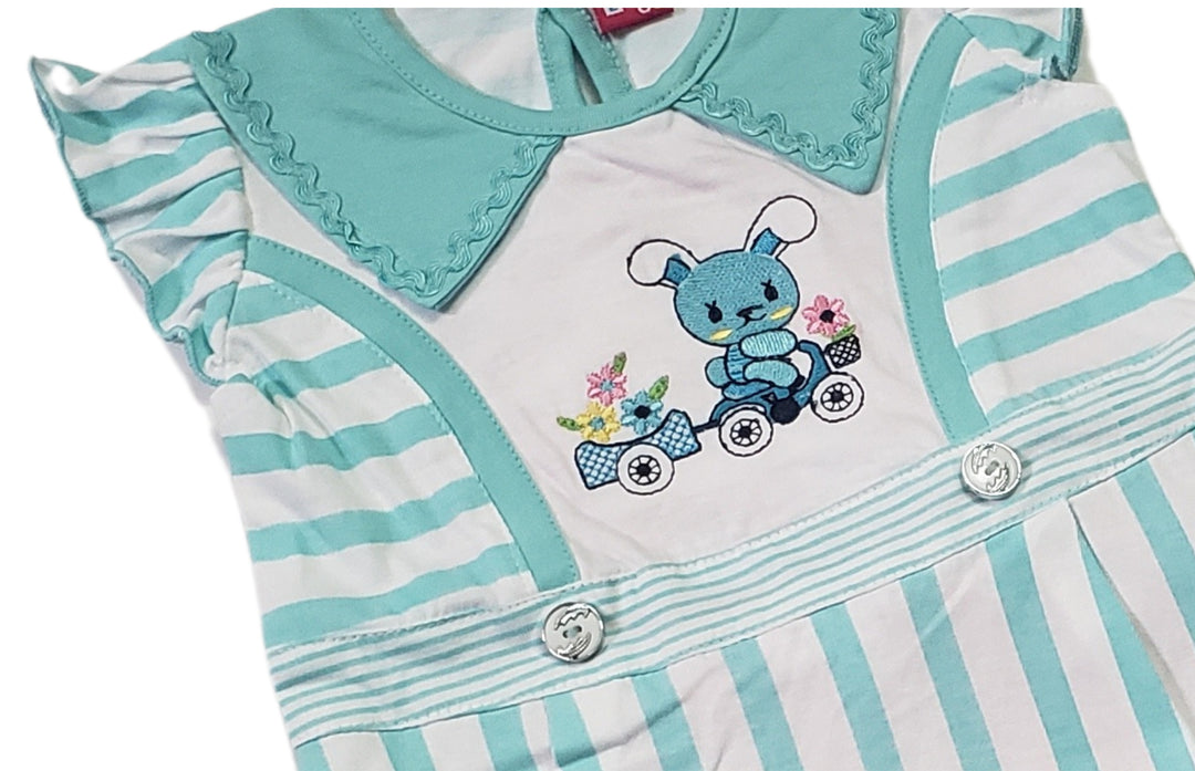 Bunny goes on a trip Baby Dress