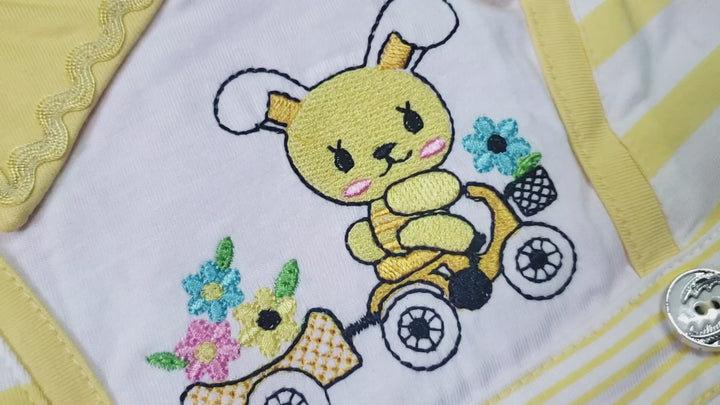 Bunny goes on a trip Baby Dress